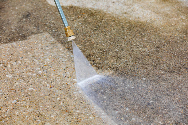 Best Animal Enclosure Cleaning  in Kearney, MO